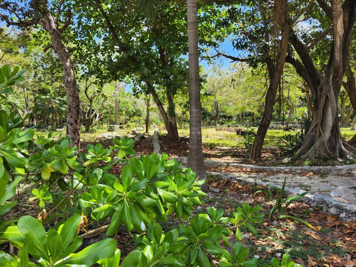 Apartament Tr3S By Walter De La Renta Cancún Zewnętrze zdjęcie